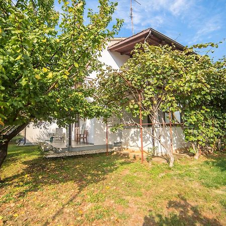 Villa Aleksandar Poreč Eksteriør bilde